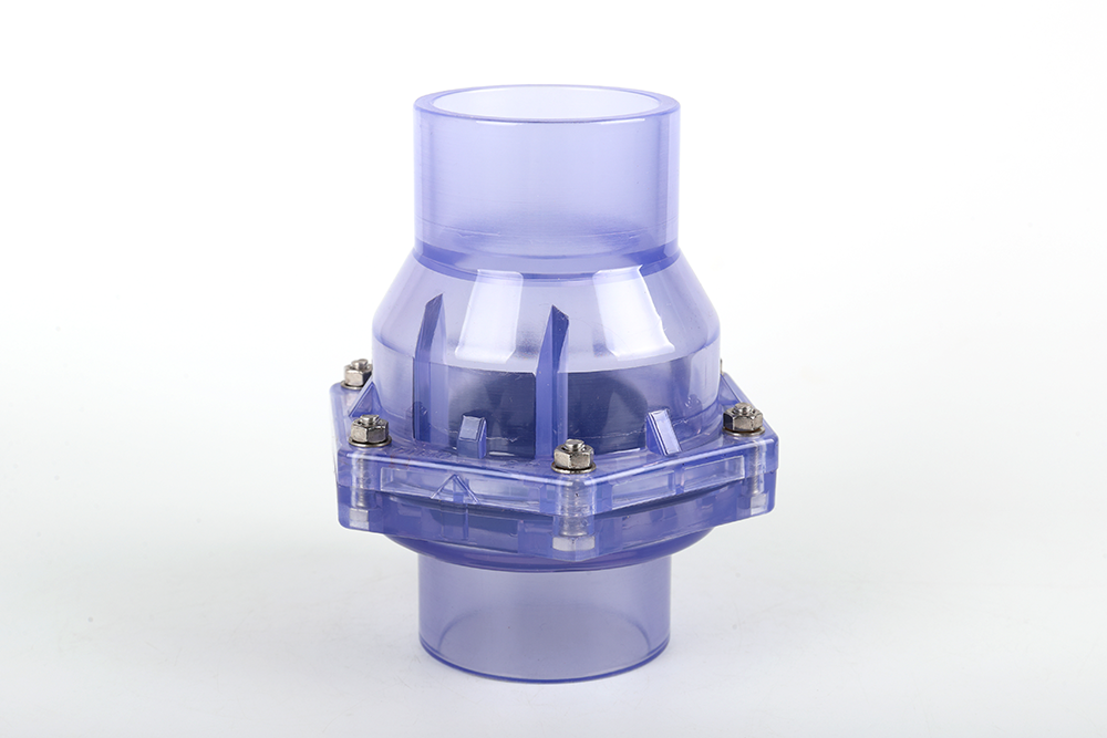 道县透明翻板式止回阀